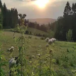 Spacious In En Ardenne Villa La-Roche-en-Ardenne