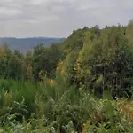 Spacious In En Ardenne Villa *