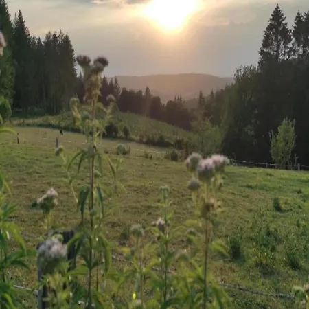 Spacious In En Ardenne Вилла Ла-Рош-ан-Арден