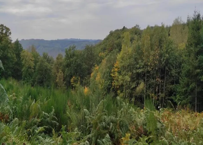 Spacious In En Ardenne Villa *